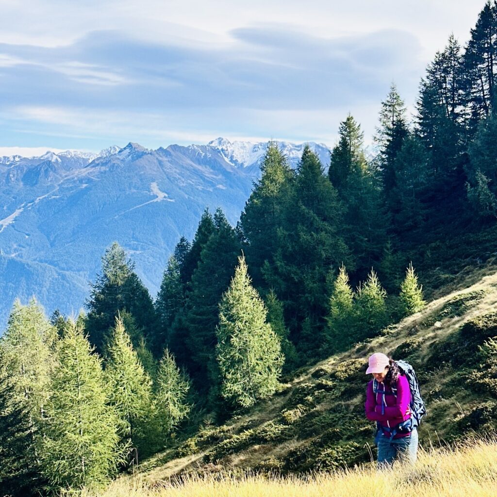 Valtellina e orobie