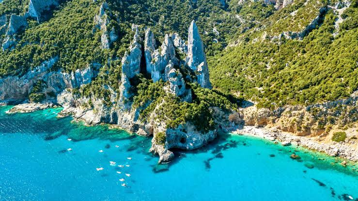 Selvaggio Blu